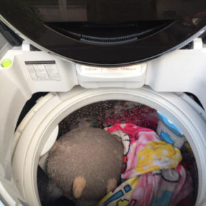 Máy giặt Toshiba (14kg) inverter tiết kiệm điện giá rẻ tại TP.hcm